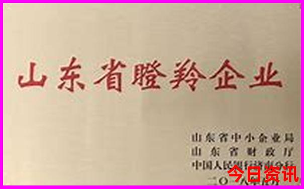 阿那亚有什么好玩的地方